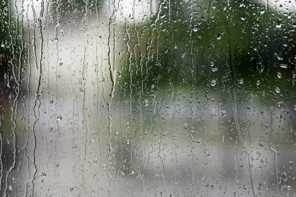 weatherproofing windows
