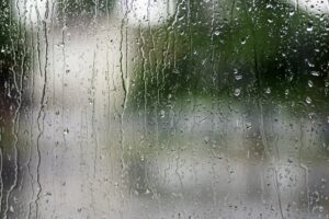 weatherproofing windows