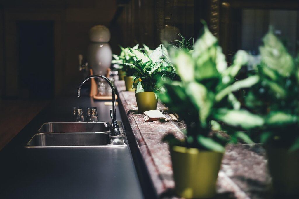 kitchen, tap, sink, faucet, furniture, home, indoors, interior design, interior decoration, tap water, kitchen sink, potted plants, kitchen, kitchen, kitchen, kitchen, kitchen, interior design