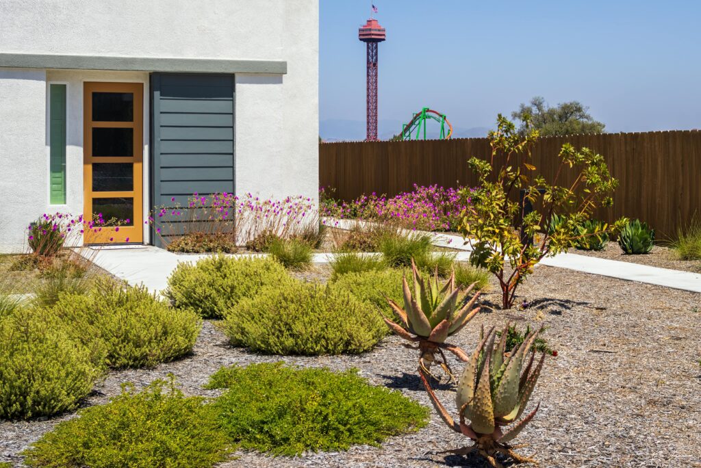Contemporary garden with succulents and a distant amusement park view.