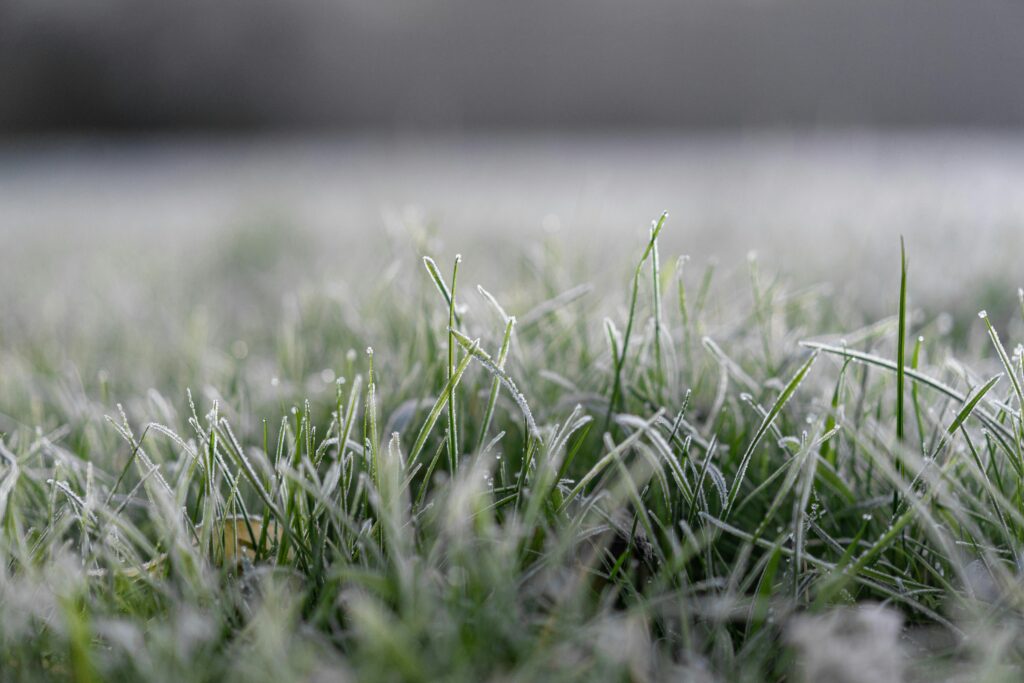 Close-up of frosty grass with morning dew in Pont-a-Celles, Belgium.