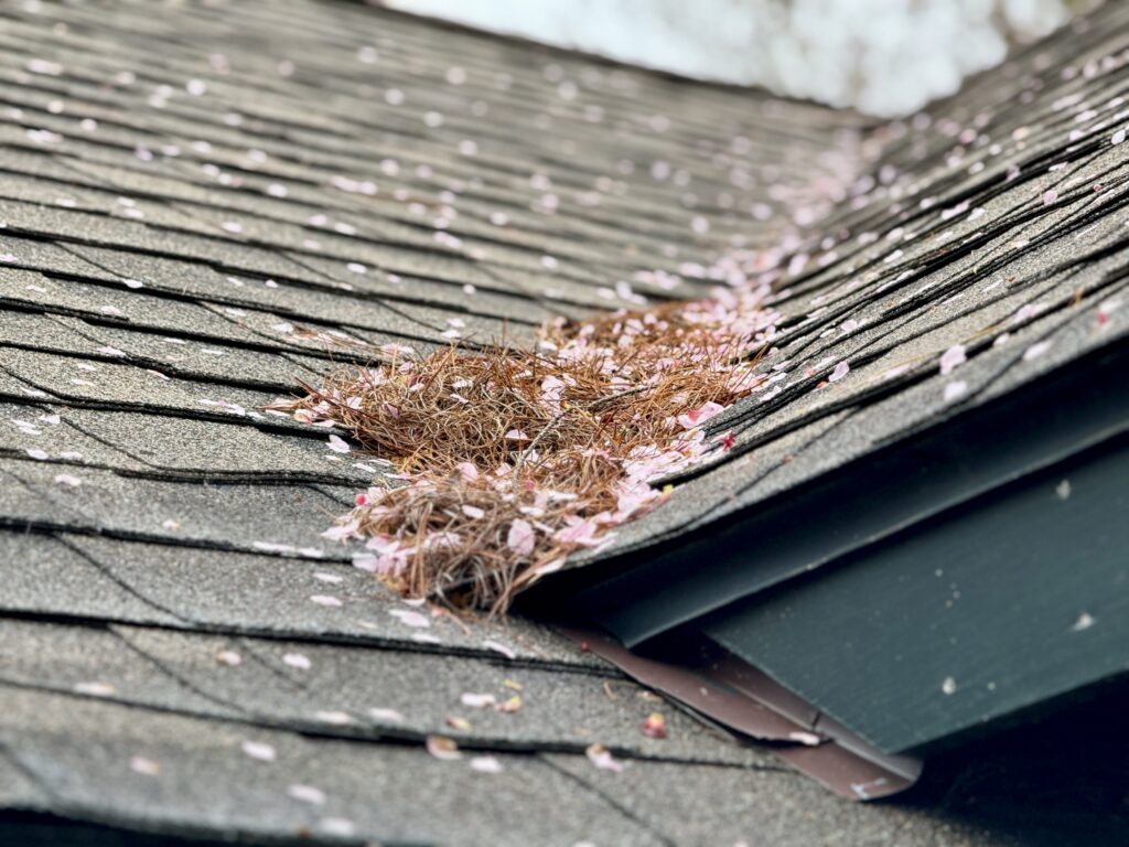 A close-up of a complex roofline showing the intersection of two different pitches creates a valley where debris has started to collect.