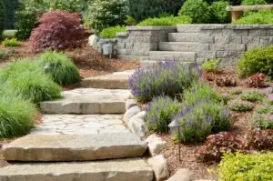 paver pathways