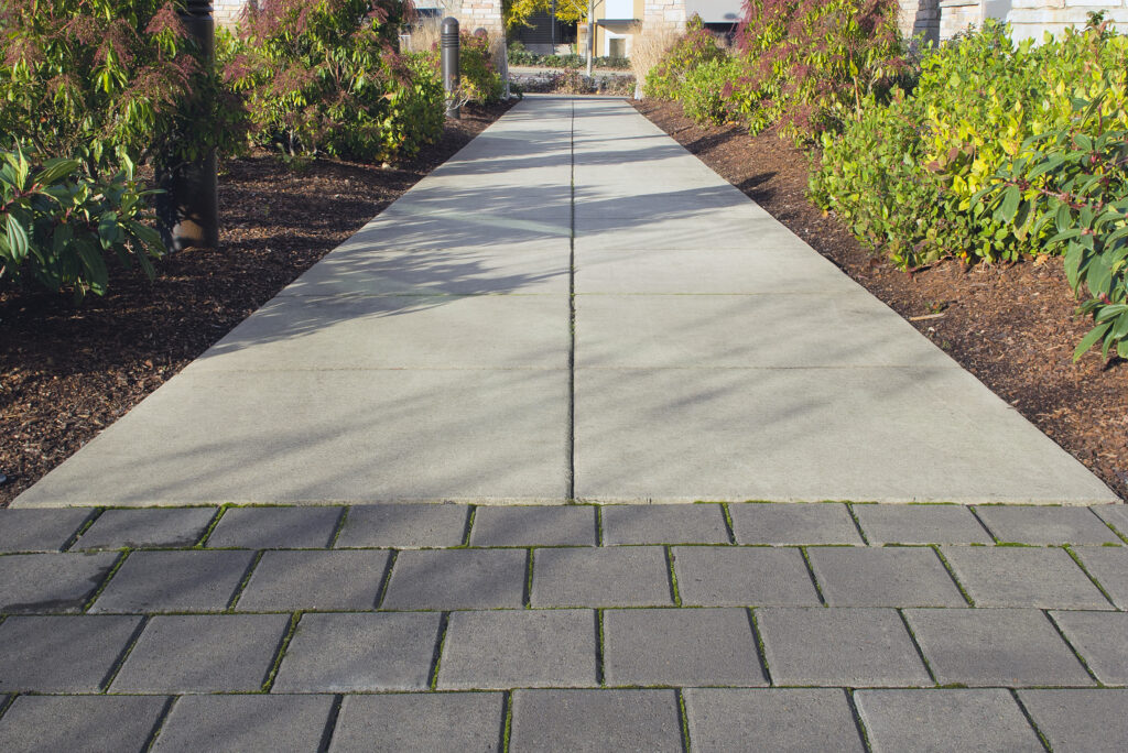 A ground-level perspective shot where a section of large, dark grey rectangular pavers, featuring moss-filled joints, gives way to a smooth, light grey concrete pathway. Lateral shifting and slight subsidence are visible along the curved boundary where the pavers meet the concrete, illustrating edge failure.