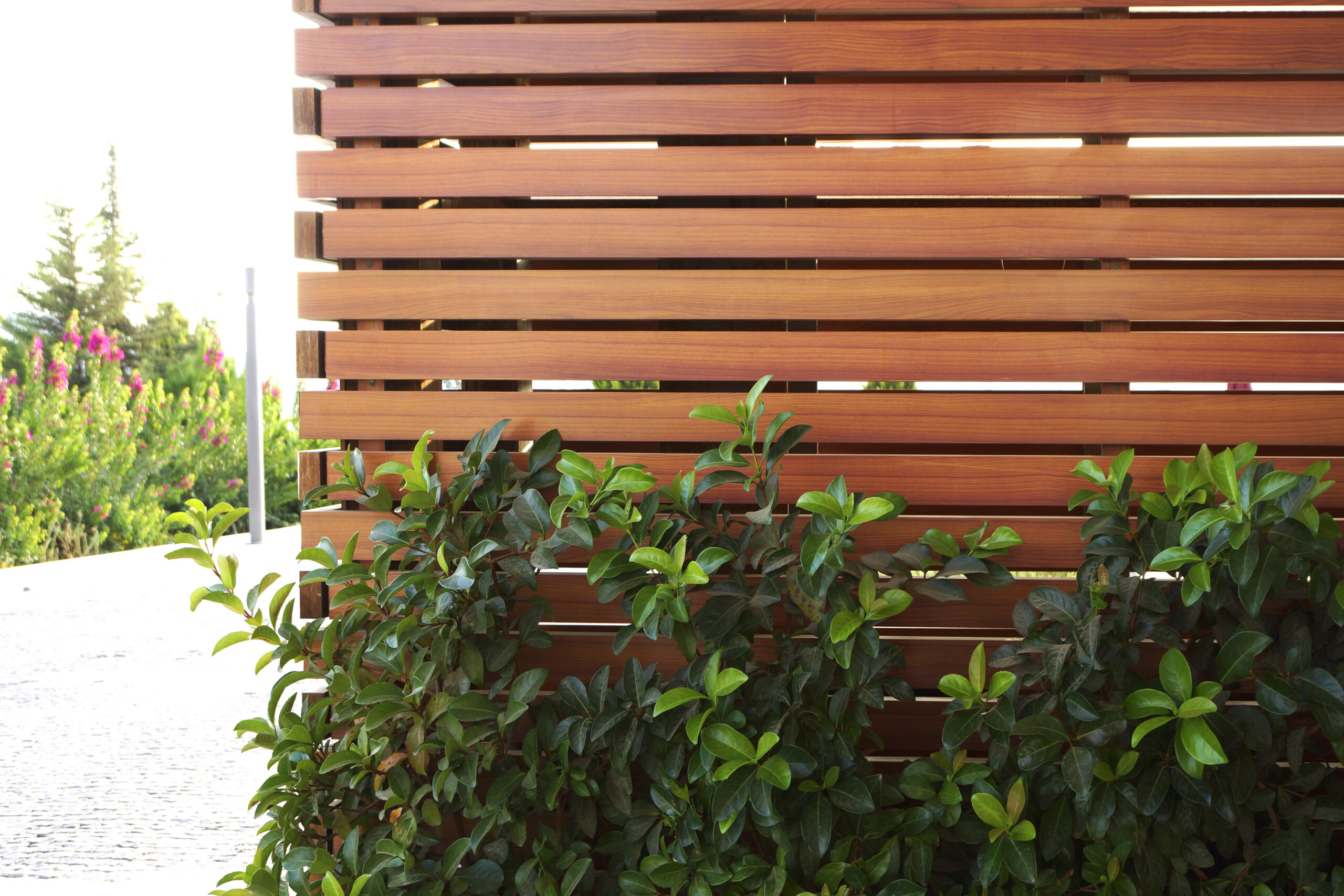 beautiful and functional privacy fence with horizontal wood slats and lush green shrubs along the base