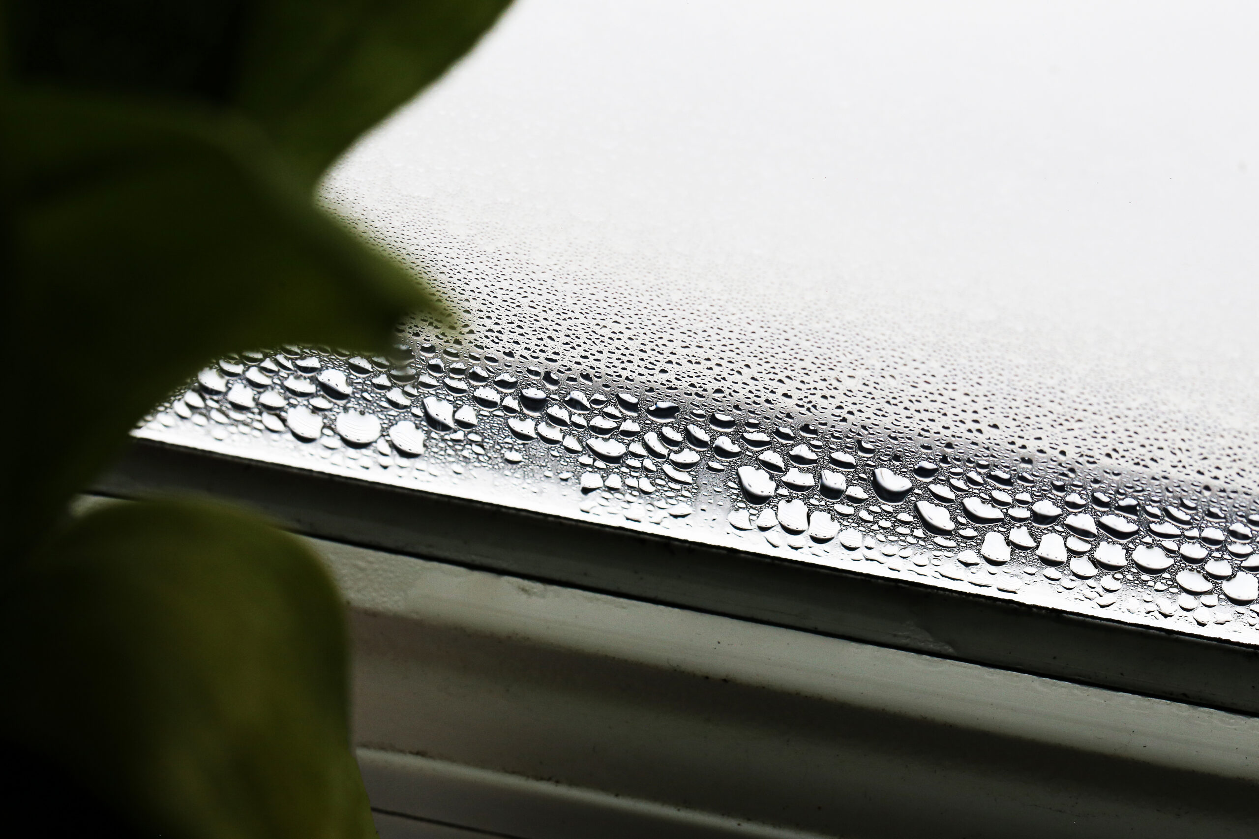Condensation on interior window glass inside a home during cold weather