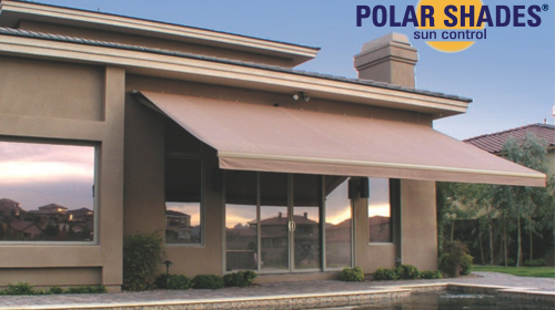 polar shades