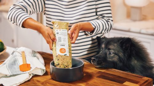 WOULDYOUEAT-2022.06.15_The-Farmers-Dog_0109-gigapixel-standard v2-1x