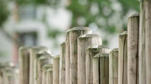 Close-up view of a textured wooden fence against a blurred natural background.