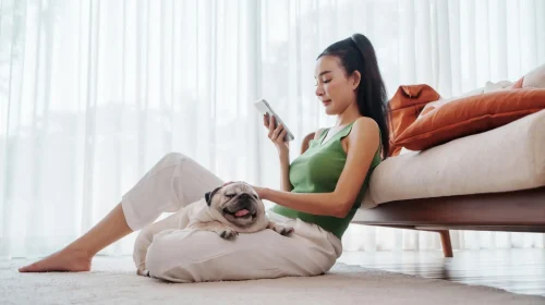 Contented Asian Woman Using Smartphone While Relaxing with Pug Dog dog on Floor Cushion at Home