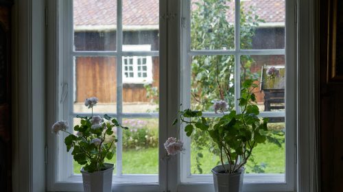 Charming window view with geraniums overlooking a countryside home in Lillehammer.