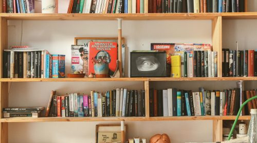 Wooden bookshelf filled with diverse books and decor in a cozy setting.